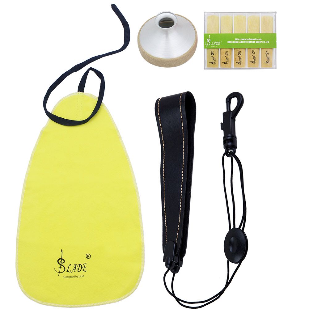 LADE 4-in-1 Alto Saxophone Sax Accessory Kit Belt Cleaning