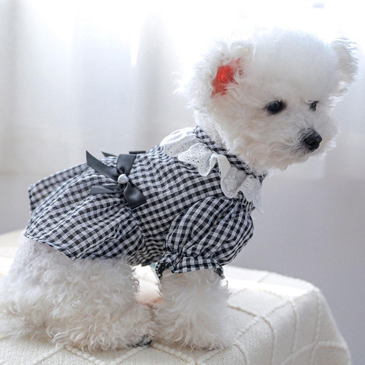 Cat Dress Black White Plaid Pet Cat Dog Bowknot Princess Dress Black