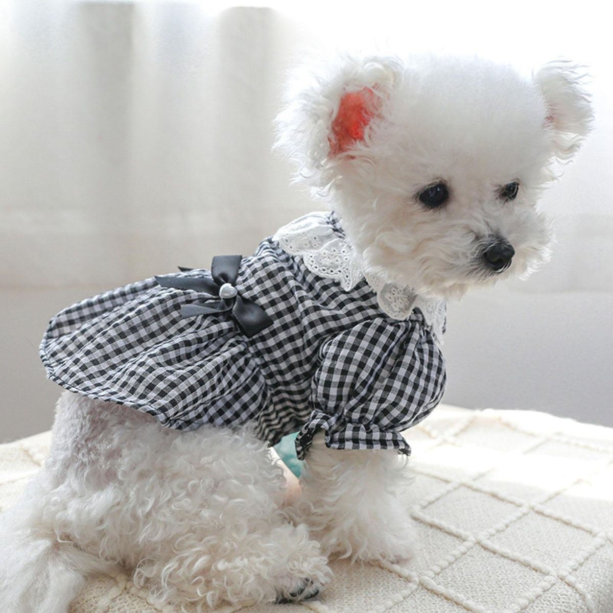Cat Dress Black White Plaid Pet Cat Dog Bowknot Princess Dress Black