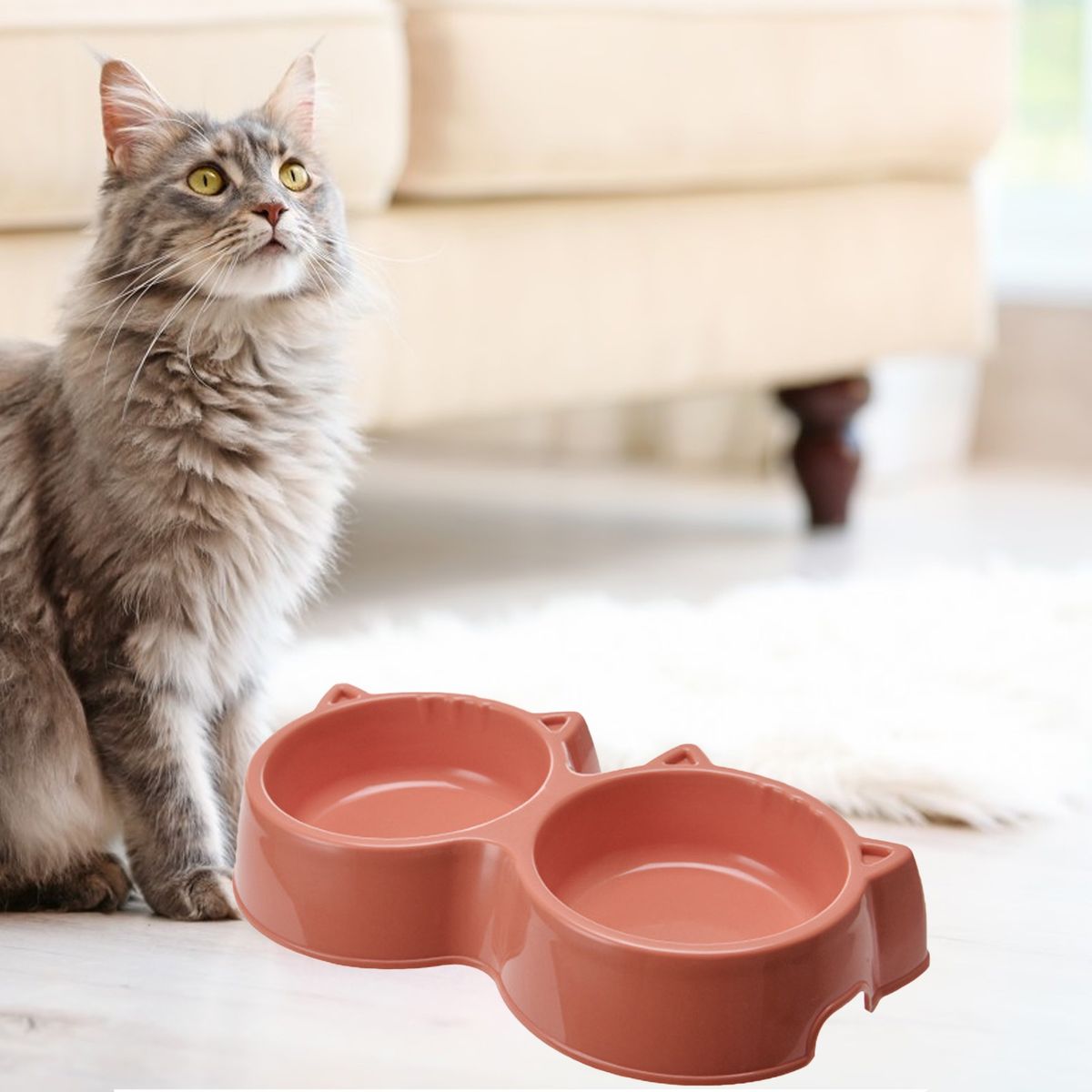Cat Bowl Large Cat Dog Bowl Feeding Water Feeder Orange