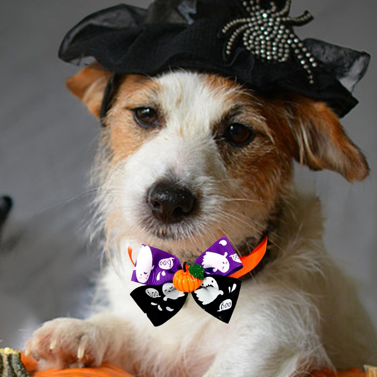Cat Choker Necklace Cat Bowties Fall Halloween  E