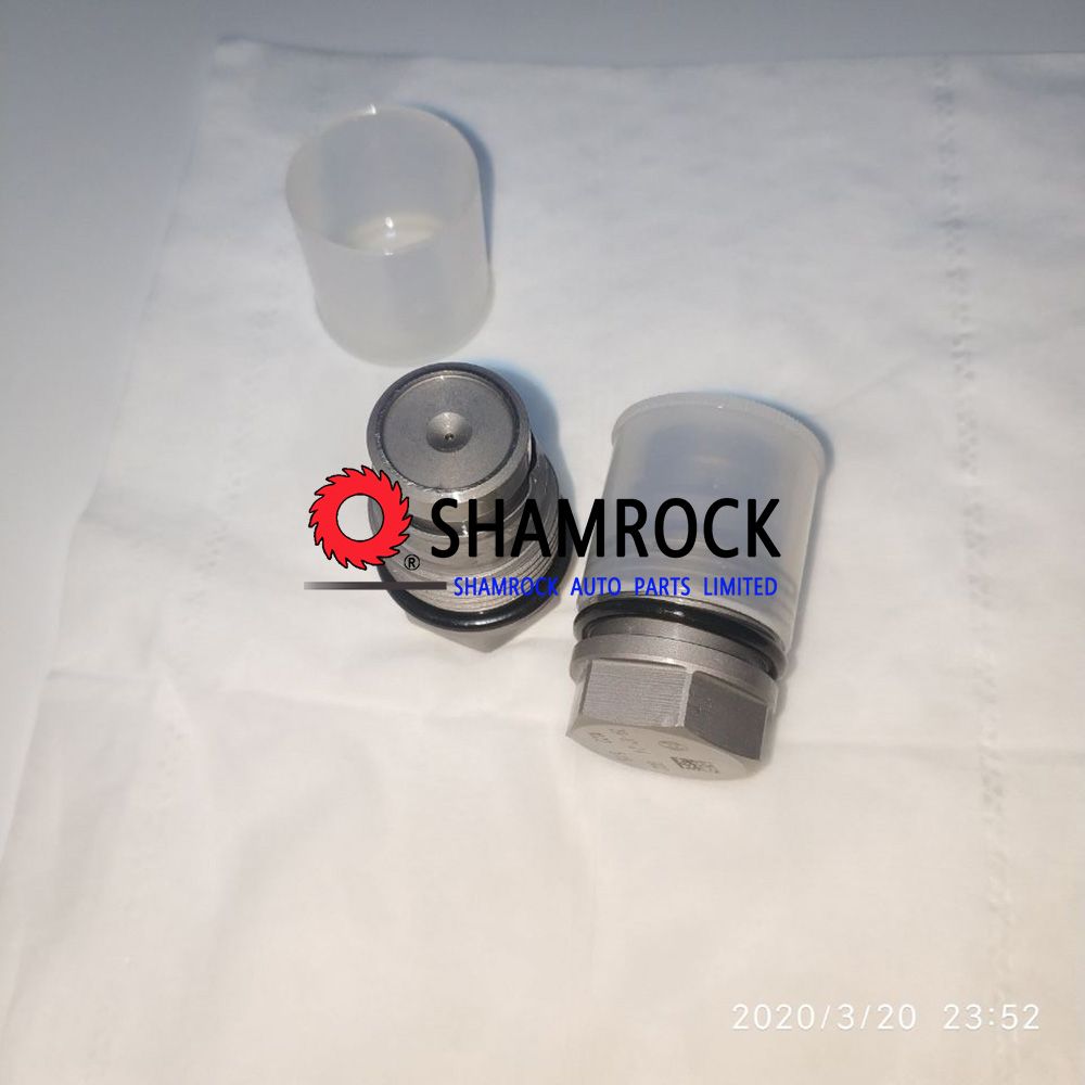 Rail Pressure Relief Limite Valve OEM 1110010025/1 110