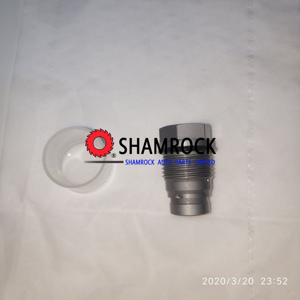 Rail Pressure Relief Limite Valve OEM 1110010025/1 110