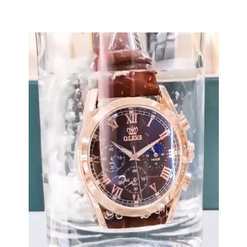 Olevs Limited Edition For Men