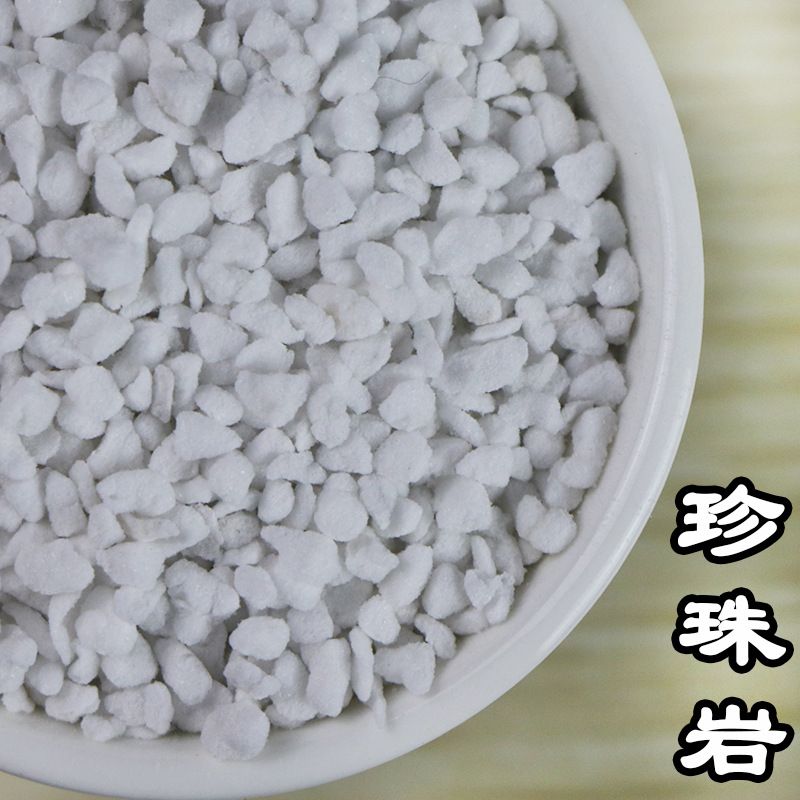50gHigh Quality Perlite Pellet Supplies Plantation Forest Nursery Breathable Bulb Plant Nutrient Matrix