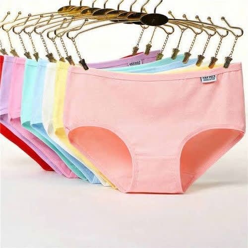 Women's Cotton Panties - 12pcs