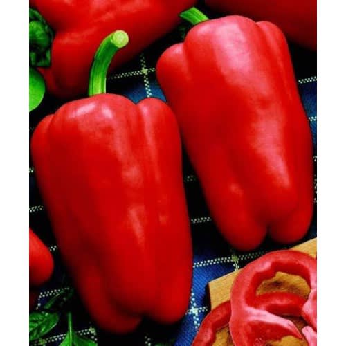 Hybrid Green Bell Pepper Seeds -  F1 Goliath - 5 Grams