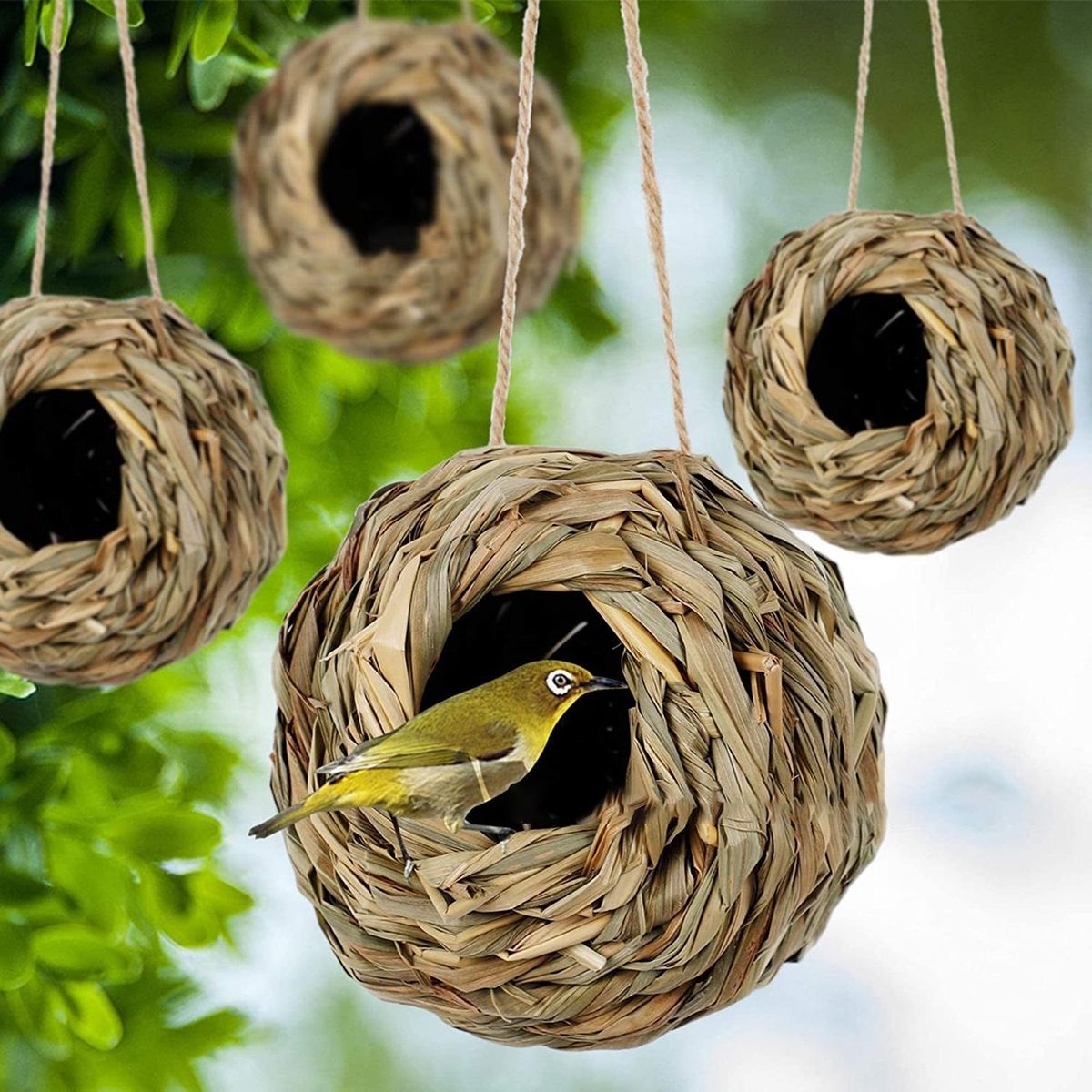 Pet Bird Bed Outdoor Indoor Small Parrot Hammock