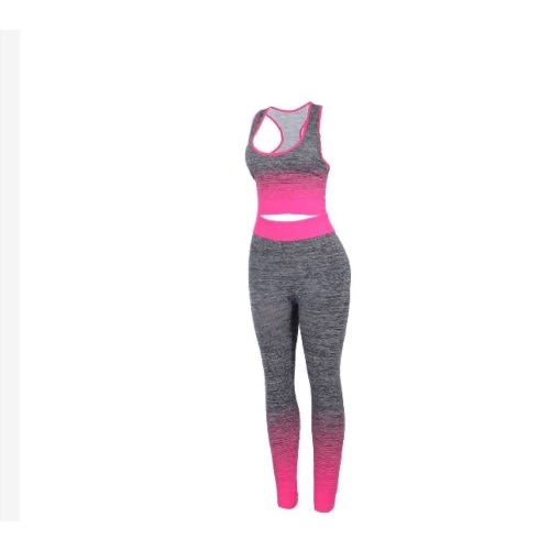 Women's Seamless Yoga 2 In 1 Fitness Wear