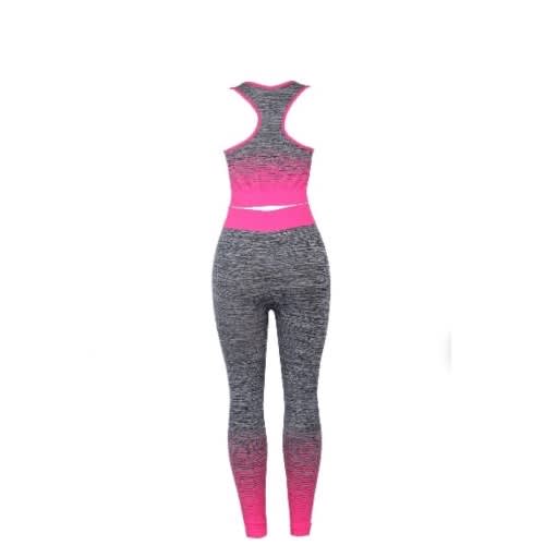 Women's Seamless Yoga 2 In 1 Fitness Wear