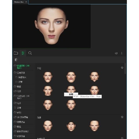 Ae Face Tools V4.1