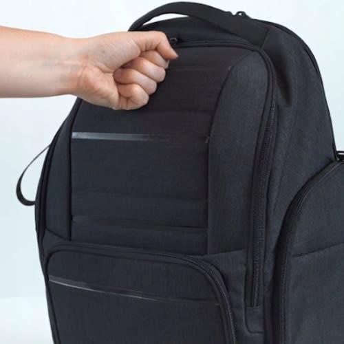 Cat B. Holt Protect Business Backpack