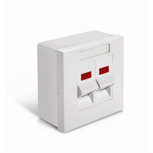 Cat6 2 Port Faceplate