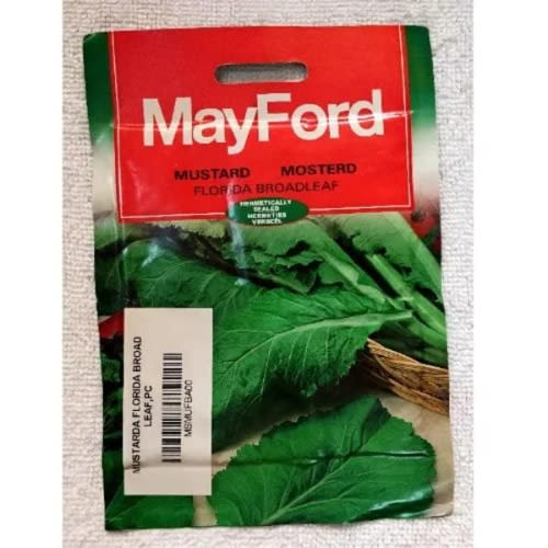 Mayford Mustard Seeds - Florida Broadleaf - 15g