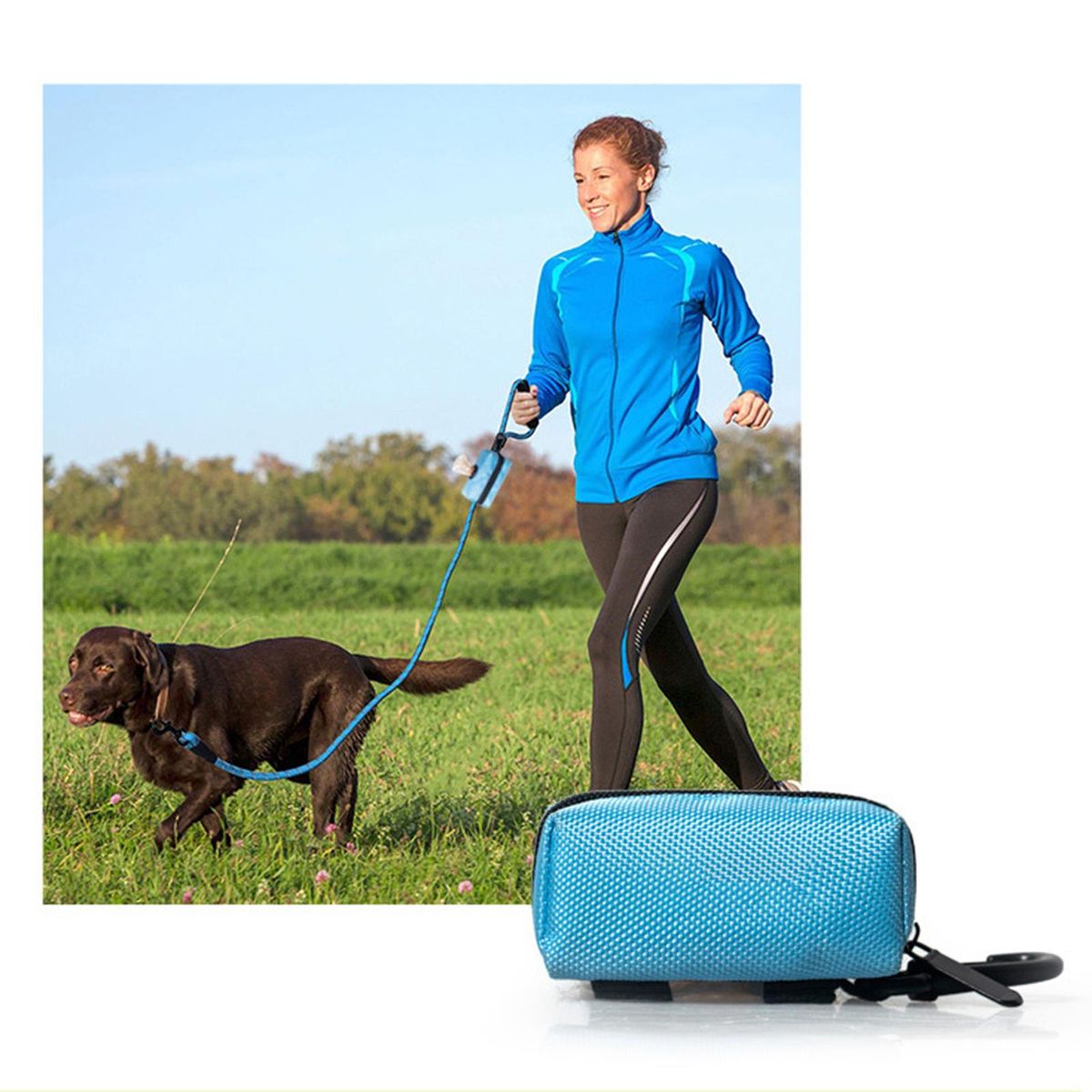 Travel Waste Bag Dispenser Carrier Case For Leash Blue