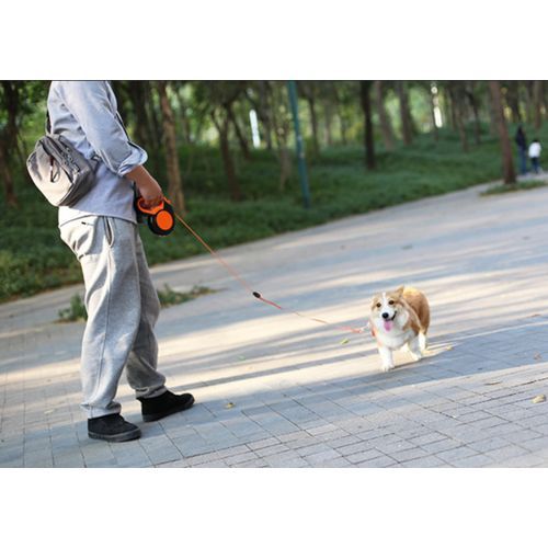 3m Retractable Dog Leash Reflective Tape Dog Leashes Nylon Extending Puppy Walking Running Dogs Leads Traction Rope
