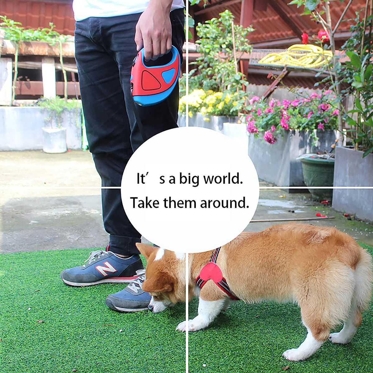 Retractable Dog Leash With LED Flashlight, Dog Safety