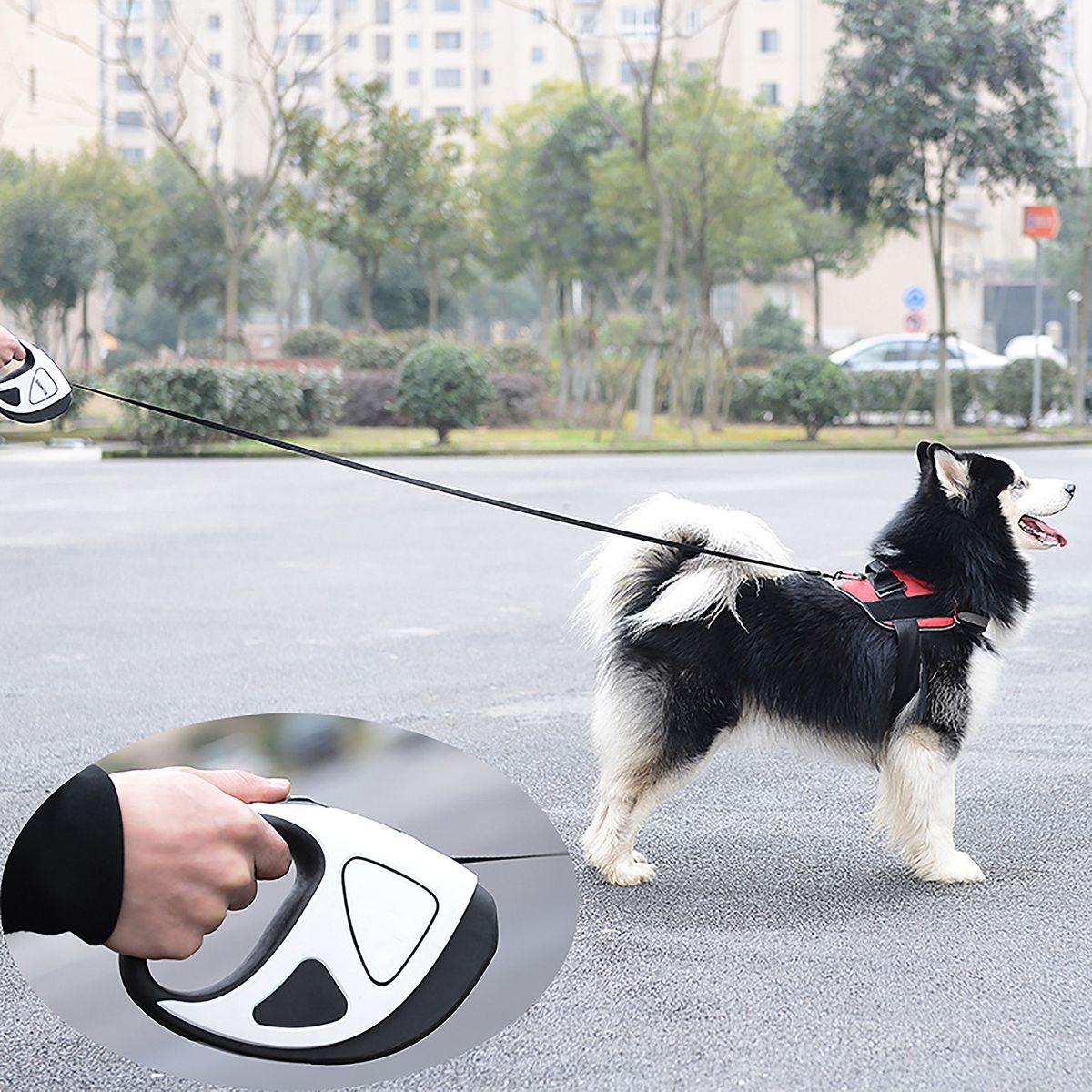 Retractable Dog Leash With LED Flashlight, Dog Safety