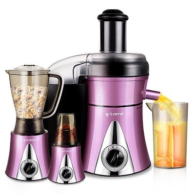 Vitaland Multi Pro Food Processor And Juicer - 600W