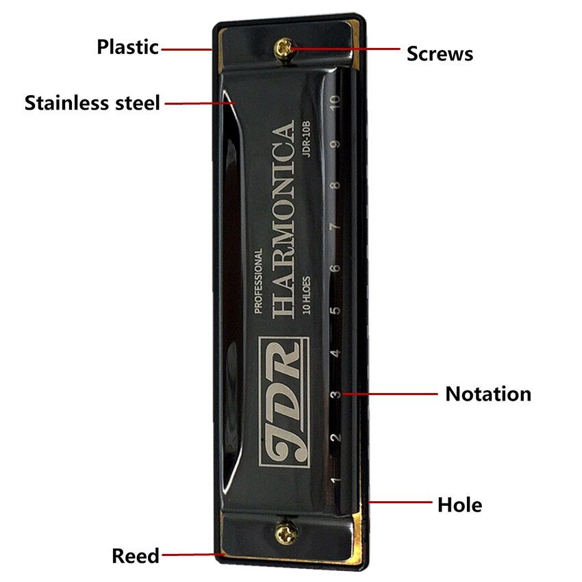 Organ 10 Diatonic With Case Hole Harp Harmonica Jew's Mouth