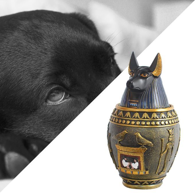 Pet  Urn Egyptian Canopic Jar Storage Box For Pets Dog Can S