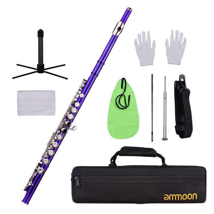 Ammoon Closed Hole C Flute 16 Keys Cupronickel