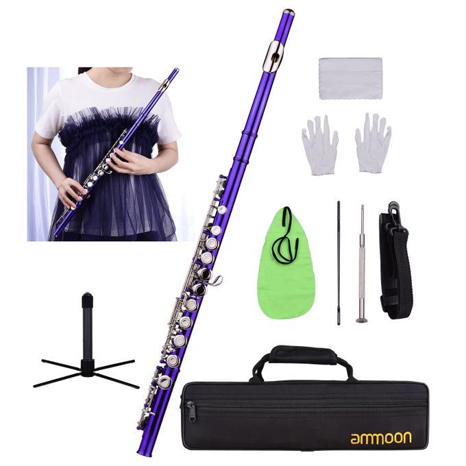 Ammoon Closed Hole C Flute 16 Keys Cupronickel