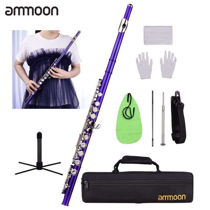 Ammoon Closed Hole C Flute 16 Keys Cupronickel