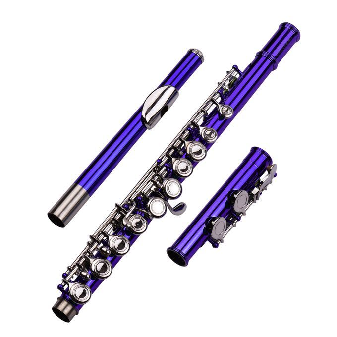 Ammoon Closed Hole C Flute 16 Keys Cupronickel