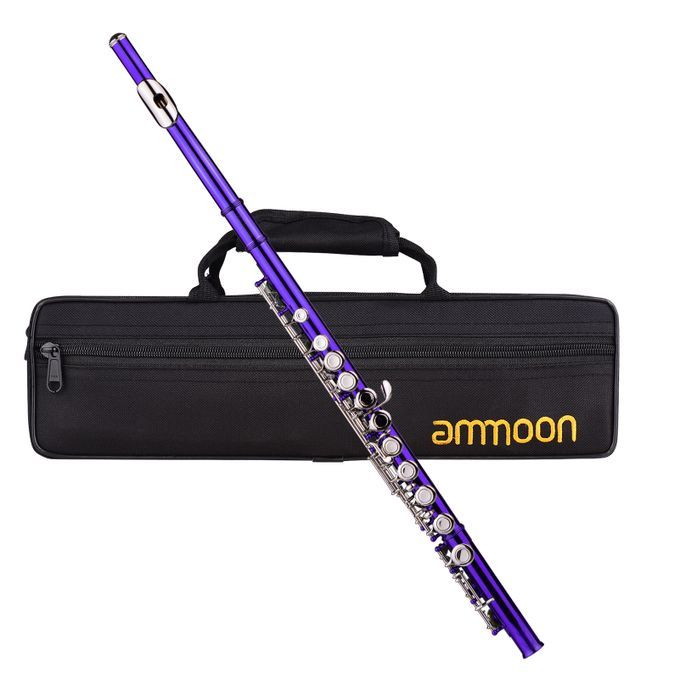 Ammoon Closed Hole C Flute 16 Keys Cupronickel