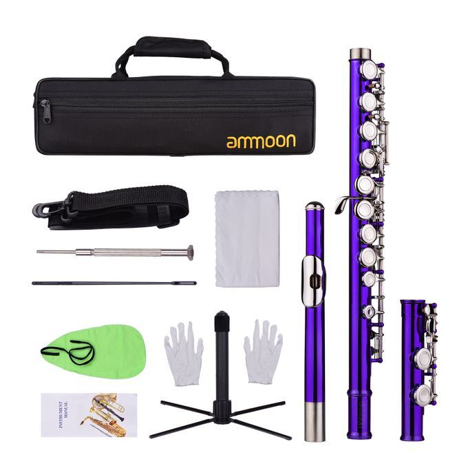 Ammoon Closed Hole C Flute 16 Keys Cupronickel