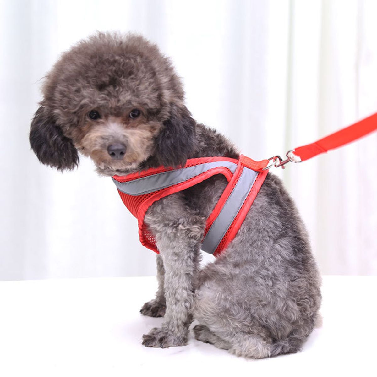 Dog Harness Dog Leash Set Pet Harness And Leash For Walking