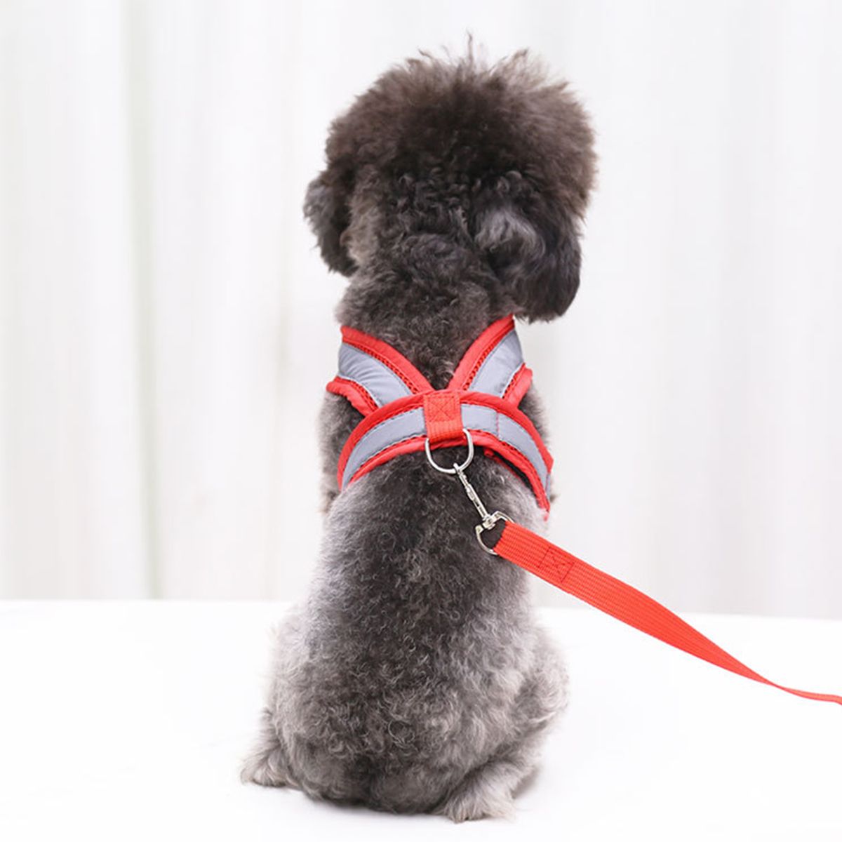 Dog Harness Dog Leash Set Pet Harness And Leash For Walking