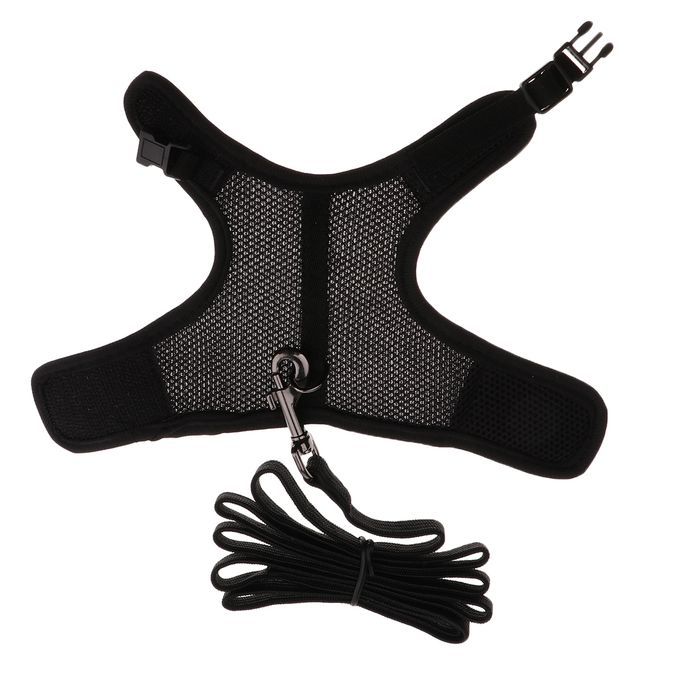 Hamster Rabbit Guinea Pig Rat Ferret Breathable Mesh Harness Black S