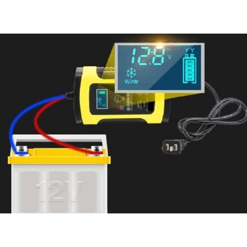 Pulse Repair Battery Charger - 12v