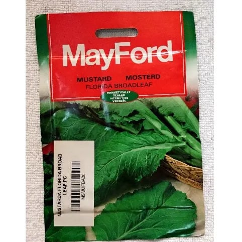Mustard Seeds - Florida Broadleaf - 15g