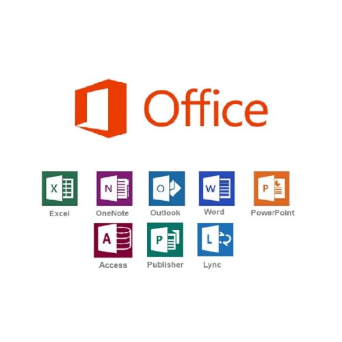 Office 2021 Professional Plus 20 User
