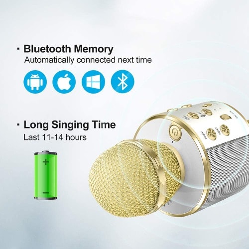 Wireless Karaoke Microphone Bluetooth Handheld Portable Speaker Home Ktv Player