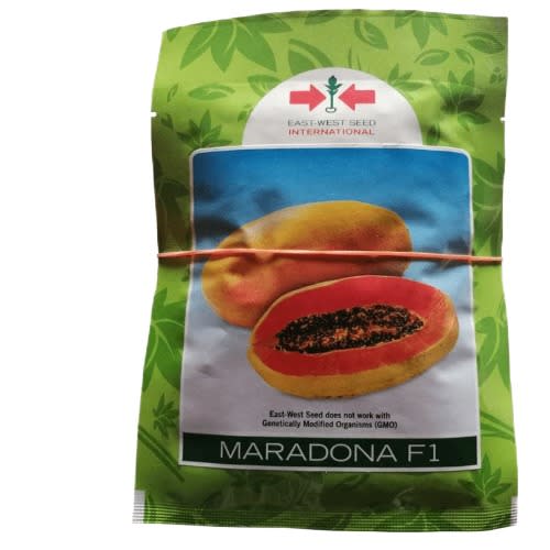 Hybrid Dwarf Papaya Seed - Maradona F1  - 100 Seeds