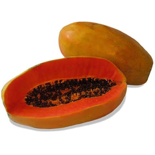 Hybrid Dwarf Papaya Seed - Maradona F1  - 100 Seeds