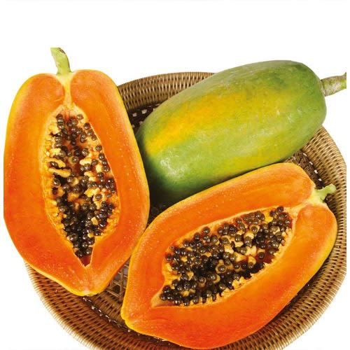 Hybrid Dwarf Papaya Seed - Maradona F1  - 100 Seeds