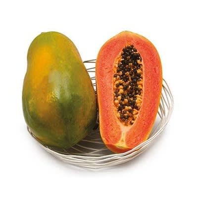 Hybrid Dwarf Papaya Seed - Maradona F1  - 100 Seeds