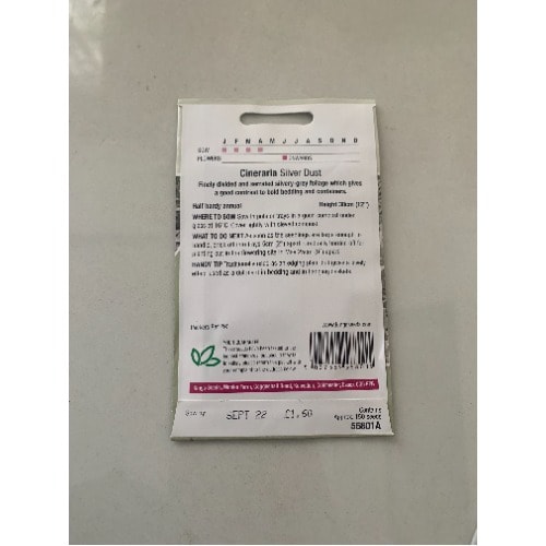 Cineraria Silver Dust Seeds -150seeds