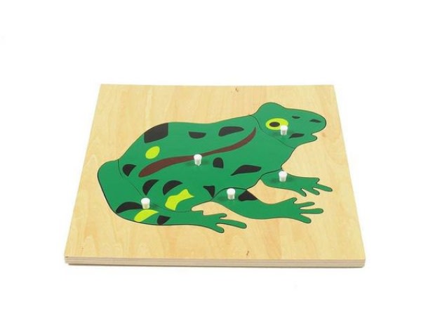 Montessori Frog Puzzle--Multicolour--No