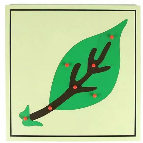 Montessori Leaf Puzzle--Multicolour--No