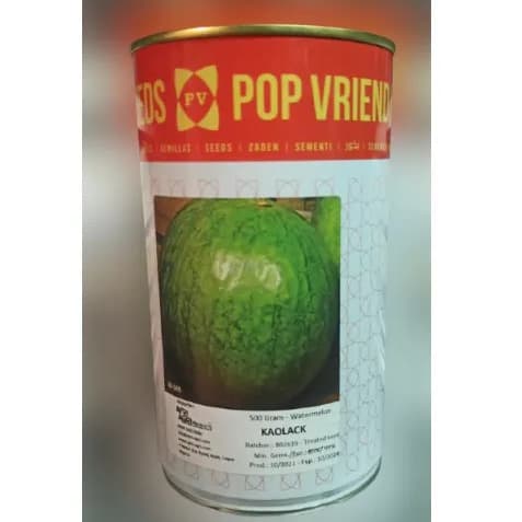 Kaolack Watermelon Seeds - 500 Grams