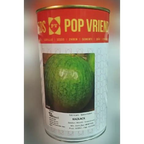 Kaolack Watermelon Seeds - 500 Grams