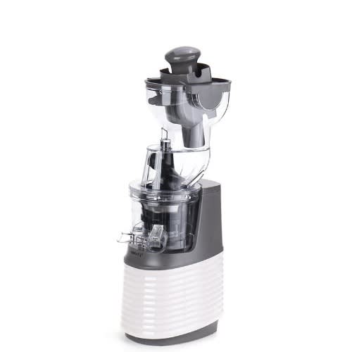 300W Whole Slow Juicer