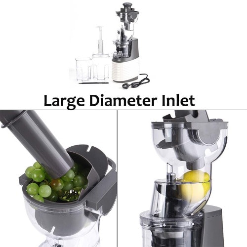 300W Whole Slow Juicer