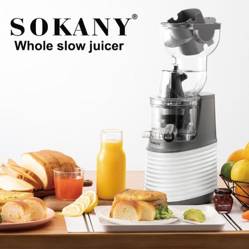 300W Whole Slow Juicer